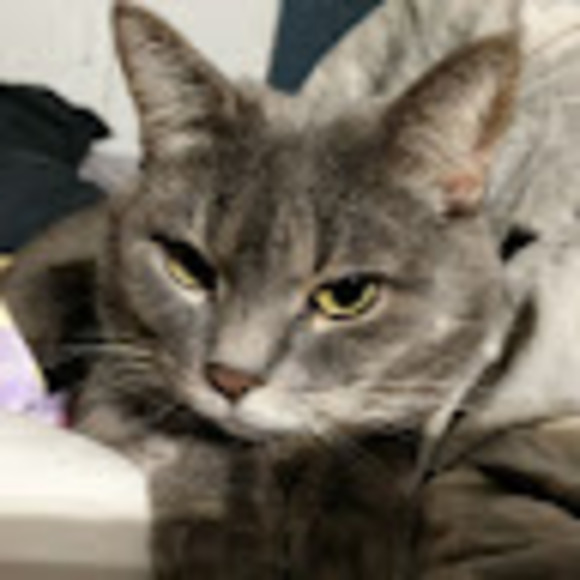 Meet your Posher, Andrea - Picture 1 of 1